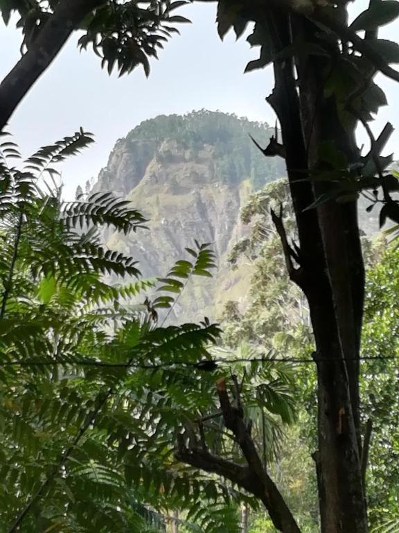 Gleam Nest Ξενοδοχείο Ella Εξωτερικό φωτογραφία